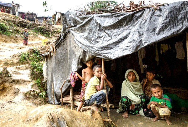 الأوضاع المأساوية التي يعيشها اللاجئون الروهينغا.