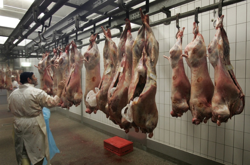  توصية لـ"العدل الأوروبية " بوضع علامة "عضوي" على اللحوم الحلال 