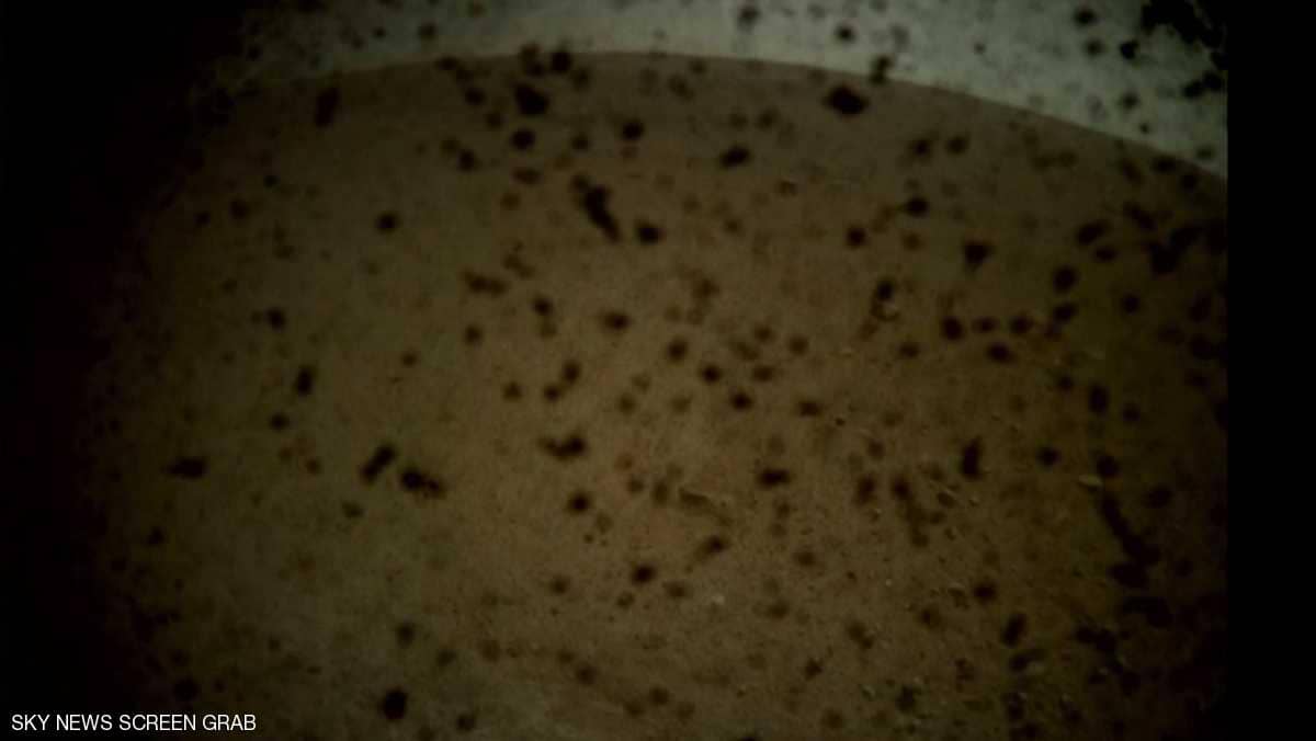  أول صورة من المريخ يرسلها المسبار "إنسايت" 