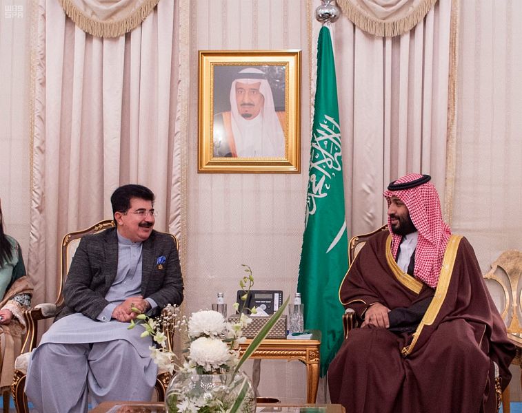 ولي العهد السعودي يلتقي رئيس مجلس الشيوخ الباكستاني