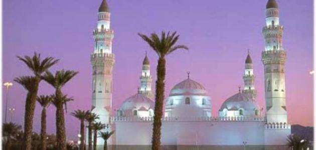وزير «الإسلامية» للأئمة والمؤذنين: اخفضوا مكبرات الصوت في المساجد