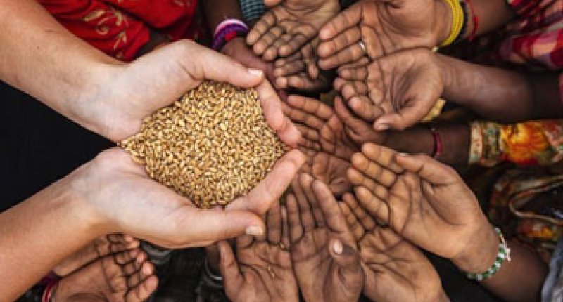 تقرير دولي يكشف أكثر من 113 مليون إنسان عانوا من انعدام الأمن الغذائي الحاد في 2018