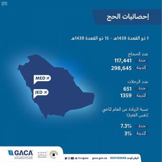 (416) ألف حاج وصلوا جواً عبر مطاري جدة والمدينة المنورة