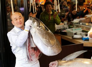 بيع سمكة تونة بأكثر من 3 ملايين دولار في مزاد باليابان