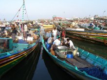 قوارب صيد في اليمن سقطرى