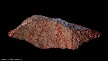 الكشف عن أقدم "هاشتاغ" في التاريخ يعود لـ73 ألف عام
