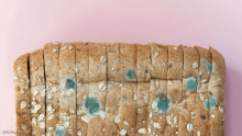"الخبز المتعفن".. ماذا يحدث لجسمك إذا تناولته؟
