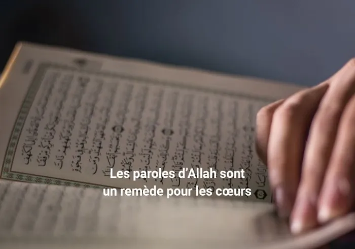 Les mots d’Allah sont les remèdes du coeur.