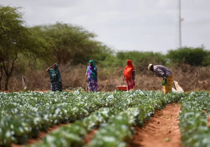 Le 15/10 était la Journée Mondialedel Alimentation.