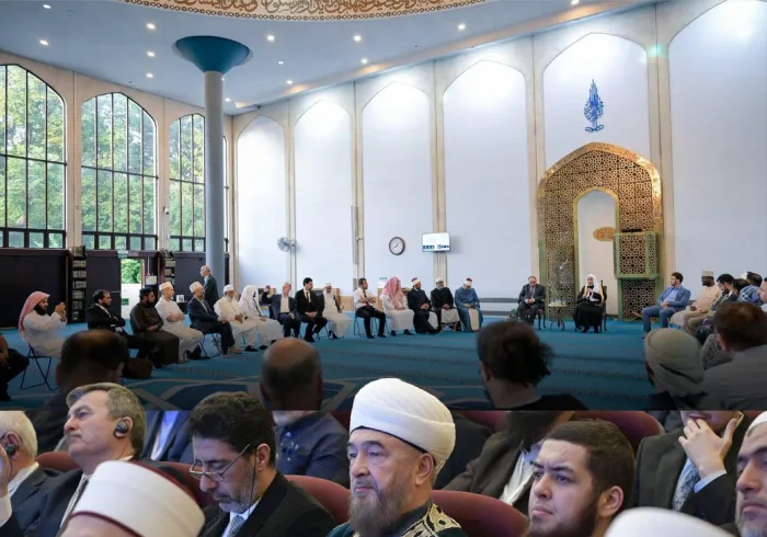 رابطہ عالم اسلامی ان ممالک میں مسلم طبقات کی معاونت کو خصوصی اہمیت دیتی ہے جہاں وہ اقلیت میں ہیں۔ یہ معاونت ان کے اور دیگر مقامی طبقات کے مابین روابط استوار کرنے کی صورت میں فراہم کی جاتی ہے