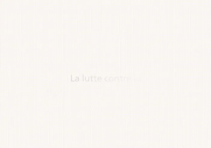 « Les hommes, avec leurs différences éthniques, ont tous la même origine et sont tous égaux dans leur humanité. Dieu ne fait pas de distinction entre les êtres humains ».