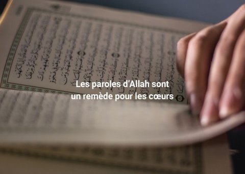 Les mots d’Allah sont les remèdes du coeur.