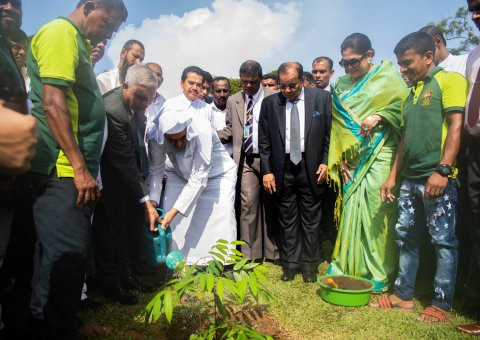 le D.Mohammad Alissa soutient les actions pour l’environnement dans la capitale Colombo et il plante un arbre symbolique en présence du maire et des responsables de l’environnement.