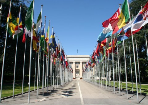 Muslim World League is at UN Geneva for the International