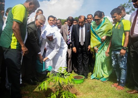Nous devons tous être des gardiens de l’environnement et promouvoir la durabilité pour construire un monde meilleur. L'été 2019, Mohammad Alissa a participé à une plantation d'arbres au SriLanka.