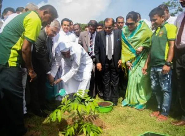 Support for the environment is necessary for a healthier and more peaceful world