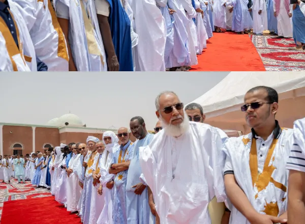 Today, from the Friday pulpit in Nouakchott, preceded by a grand scholarly reception, His Excellency Sheikh Dr. Mohammed Alissa delivers the Friday sermon and leads the prayer in the presence of senior scholars and a large congregation of worshippers.