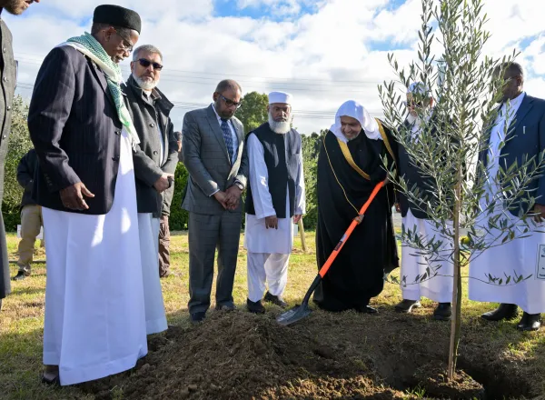 Yang Mulia Sekretaris Jenderal LMD sekaligus Ketua Organisasi Ulama Muslim, Syekh Dr. Mohammed Al-Issa  , meninjau tahap pertama pembangunan Pusat Islam (Islamic Center) di Auckland, serta turut serta dalam penanaman pohon zaitun perdamaian di dalam kompleks tersebut.