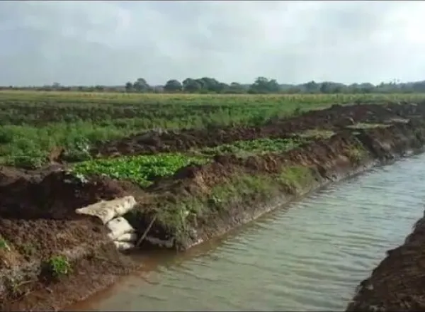 the Muslim World League is implementing the waterways project in Somalia